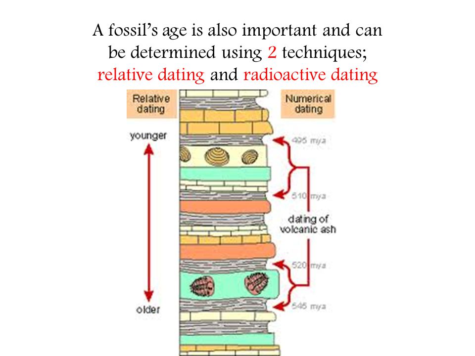 What is radioactive dating of fossils
