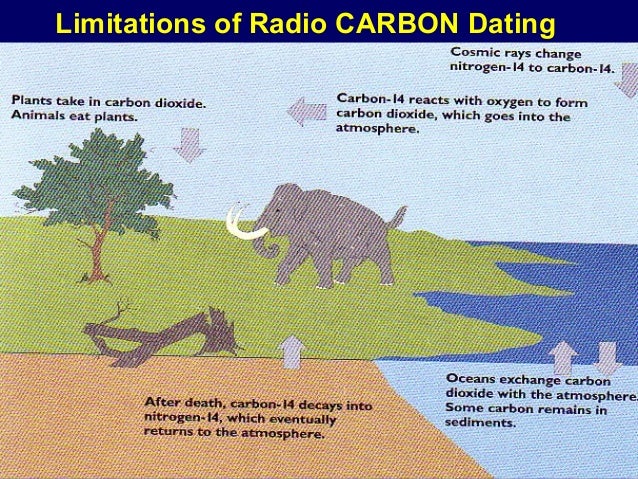 carbon dating living trees