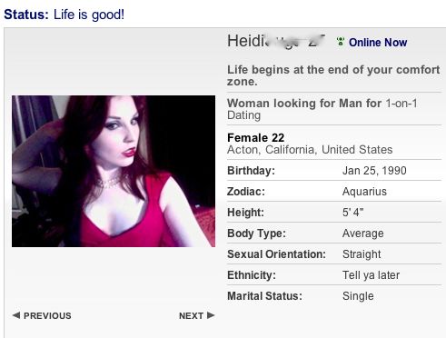examples of dating profiles that work